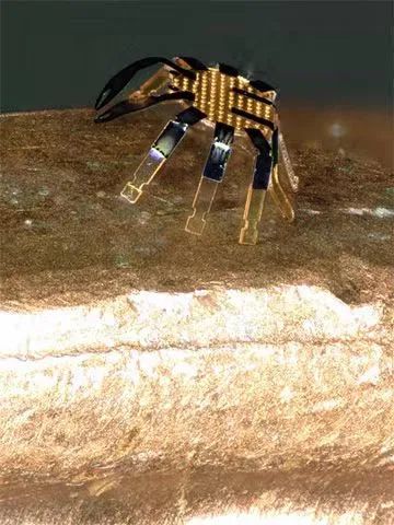 全球最小的遙控行走機(jī)器人誕生，用激光實(shí)現(xiàn)精準(zhǔn)運(yùn)動(dòng)控制